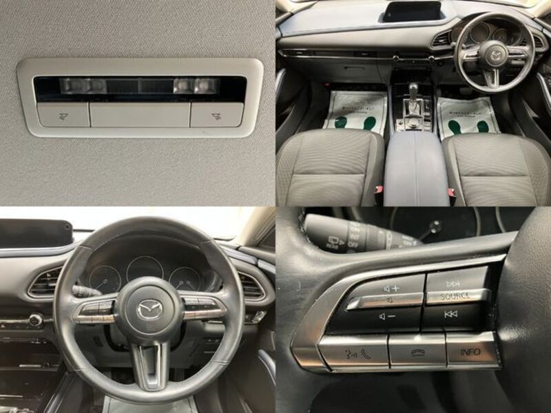 CX-30