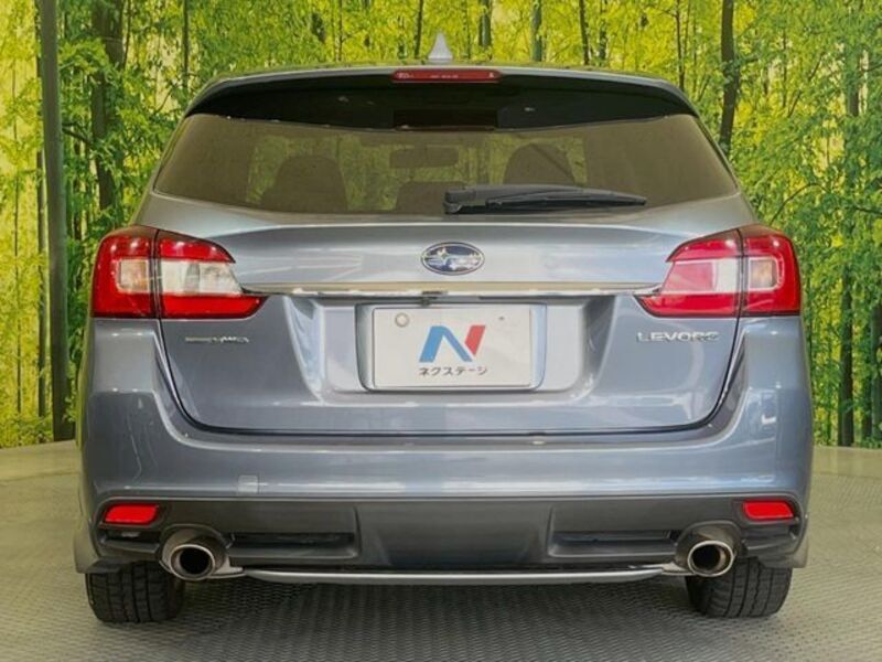 LEVORG