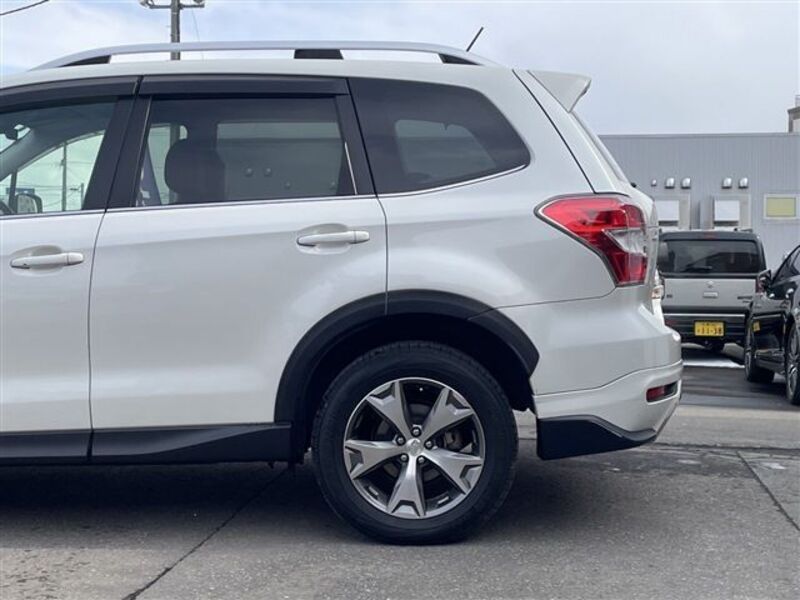 FORESTER