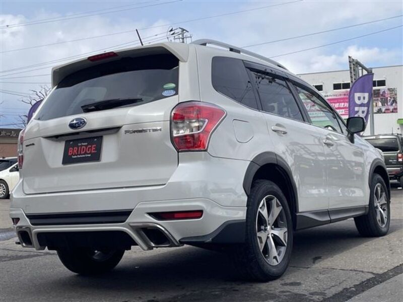 FORESTER