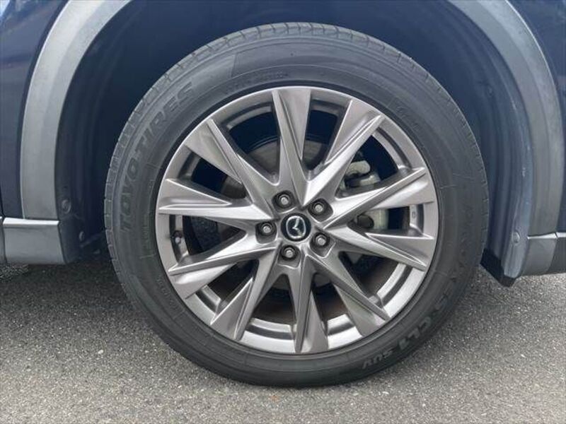 CX-8