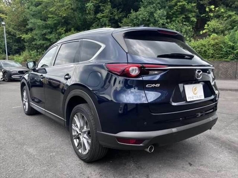 CX-8