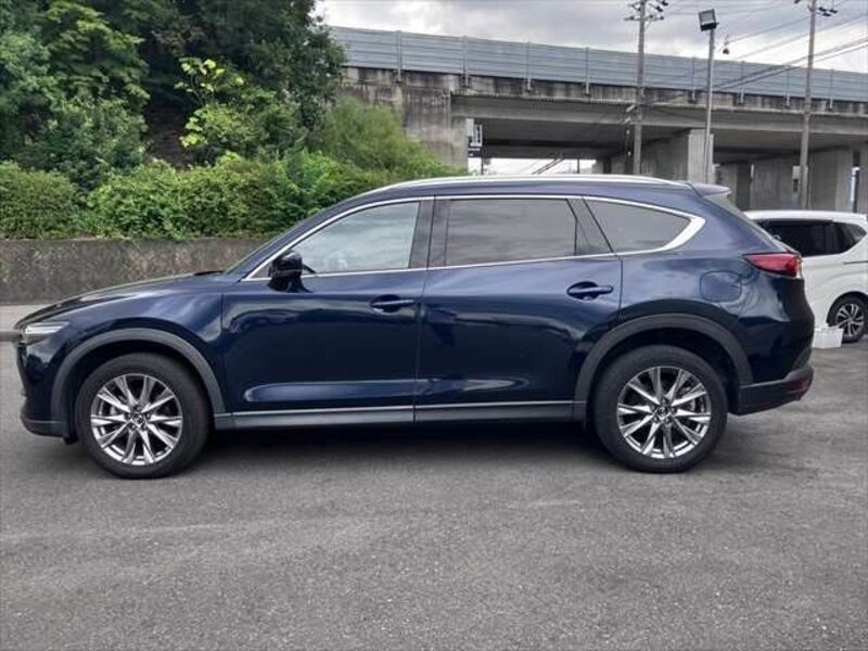 CX-8