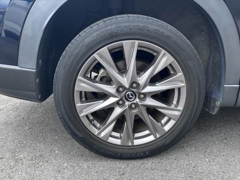 CX-8