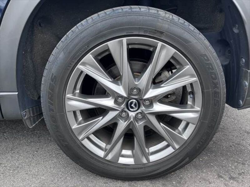 CX-8