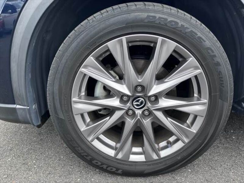 CX-8