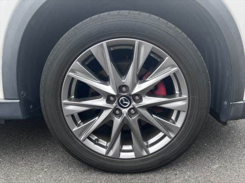 CX-8