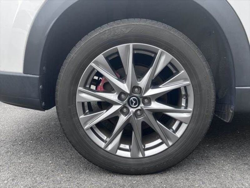 CX-8
