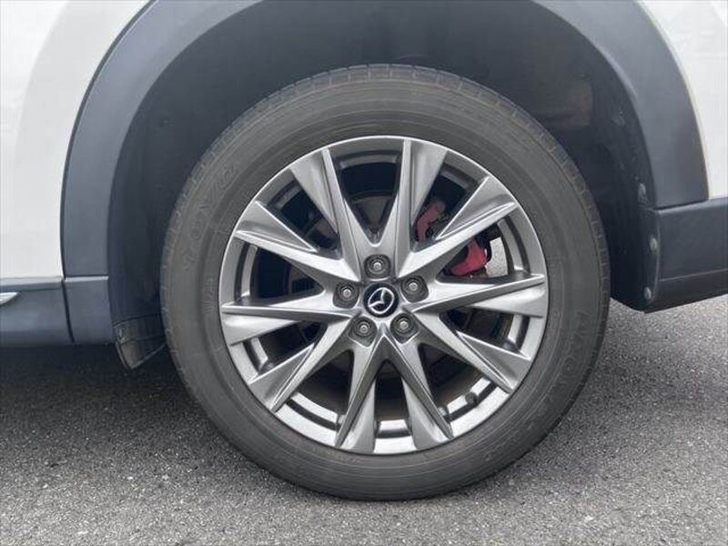 CX-8
