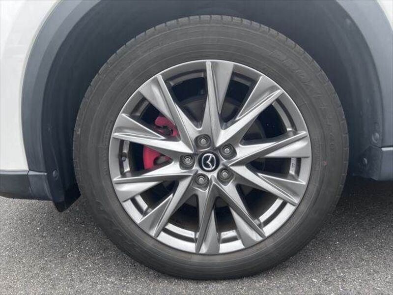 CX-8