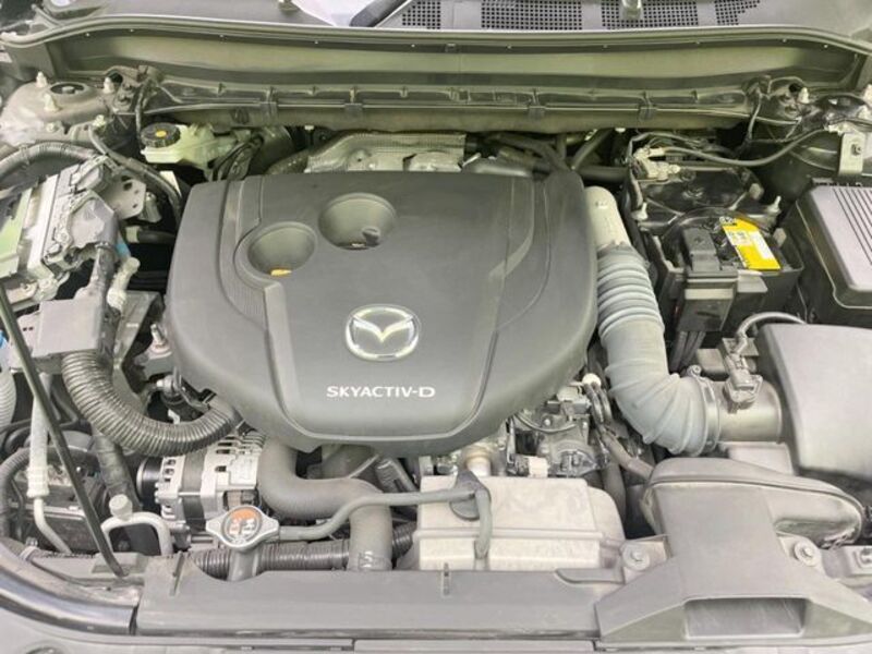 CX-8