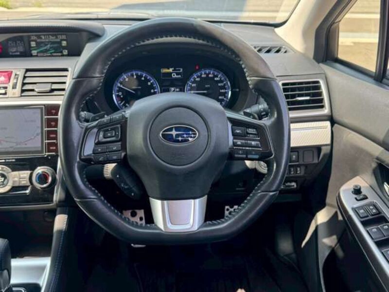 LEVORG