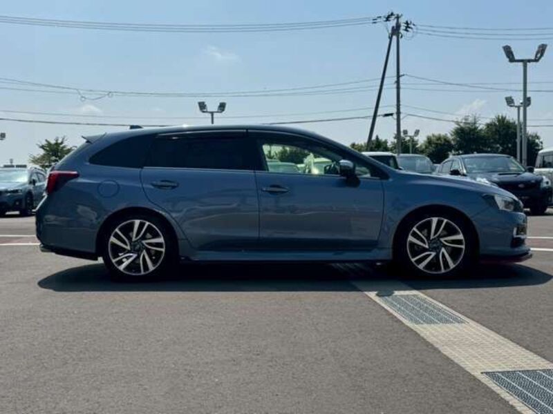 LEVORG