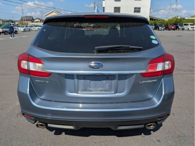 LEVORG