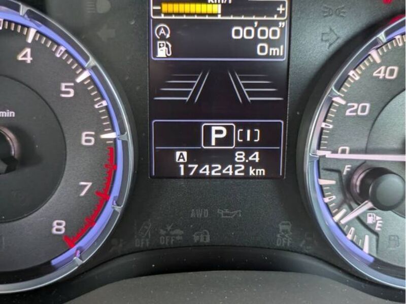 LEVORG