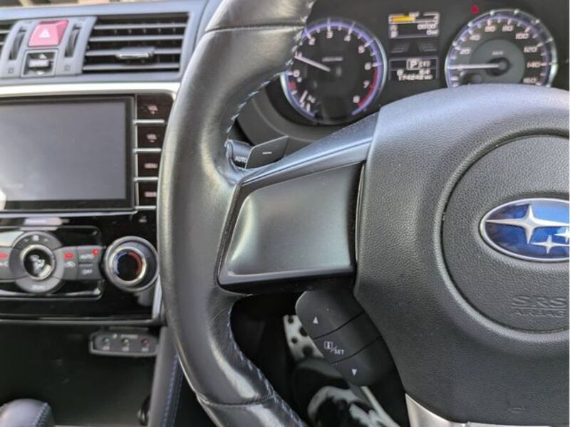 LEVORG