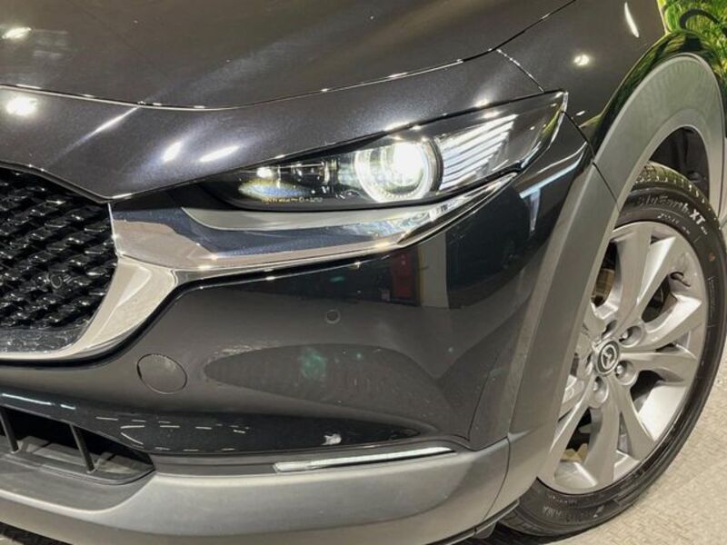 CX-30
