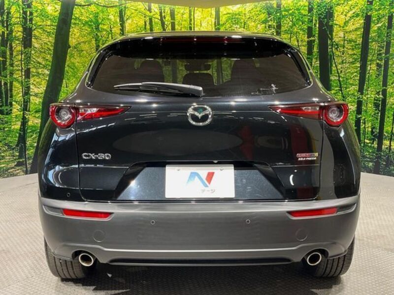 CX-30