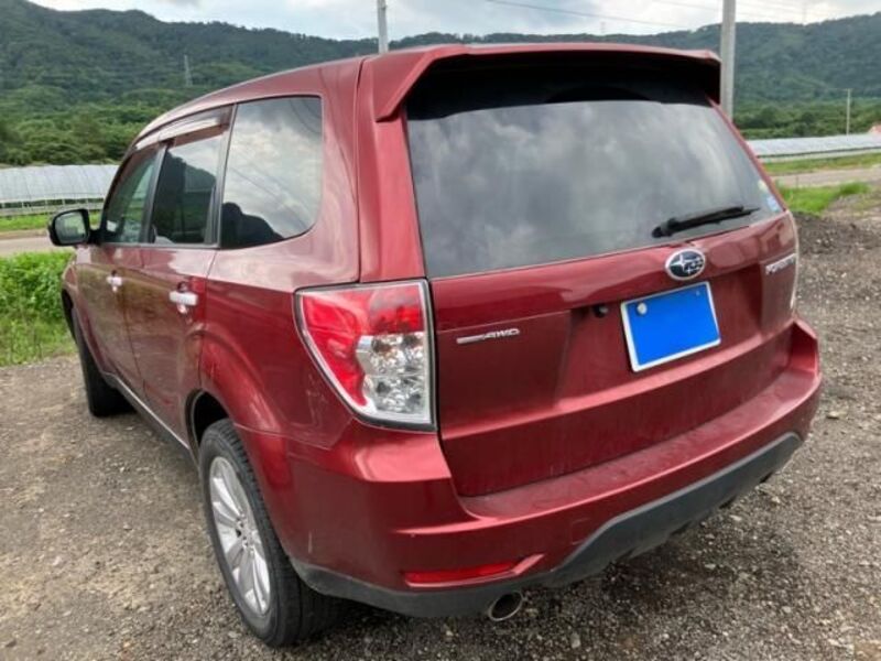 FORESTER