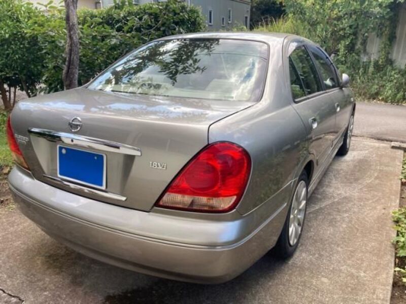 BLUEBIRD SYLPHY