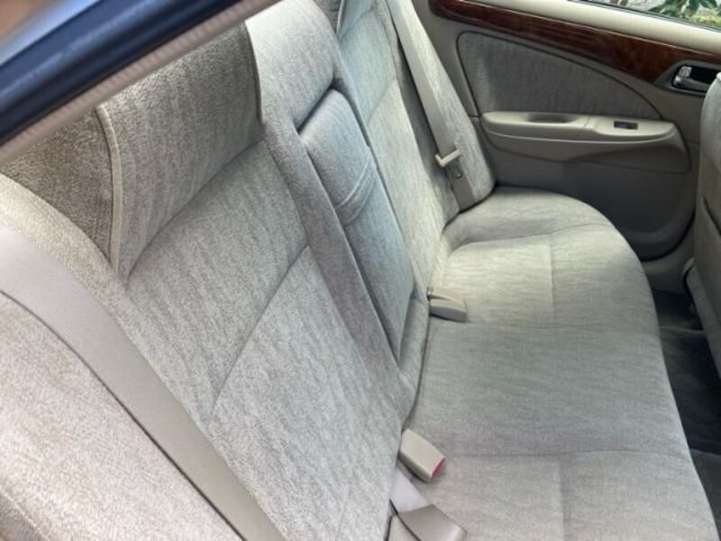 BLUEBIRD SYLPHY