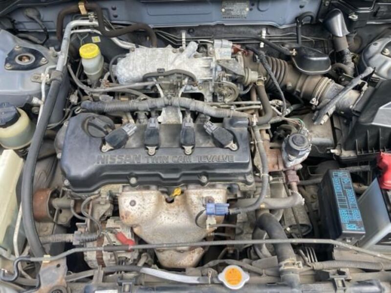 BLUEBIRD SYLPHY