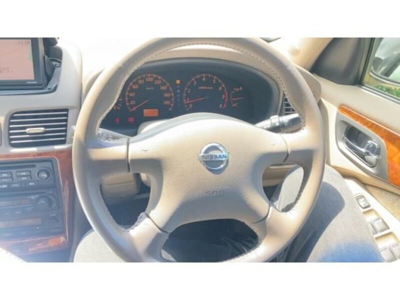 BLUEBIRD SYLPHY