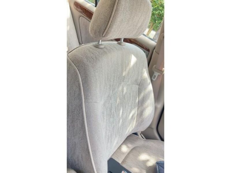BLUEBIRD SYLPHY
