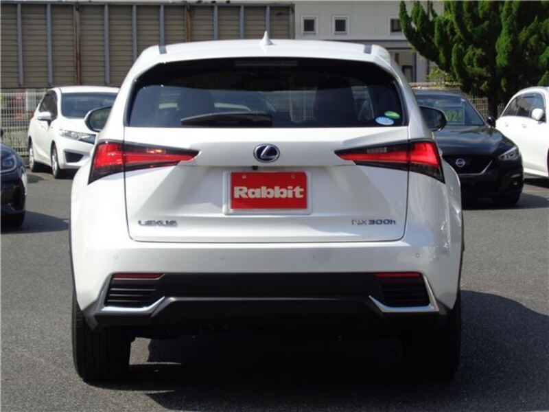 NX