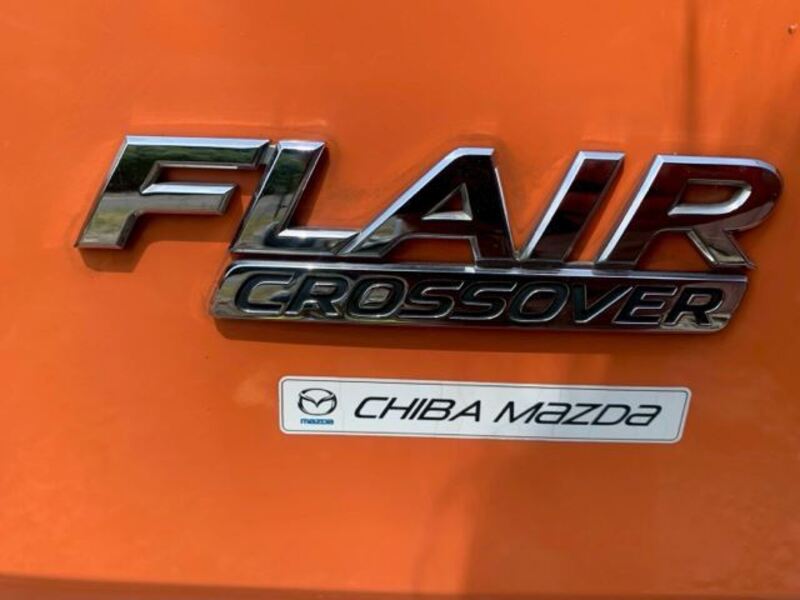 FLAIR CROSSOVER