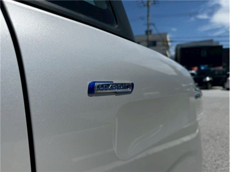 FLAIR WAGON