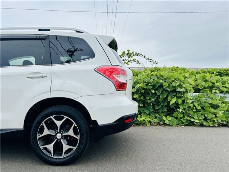 FORESTER