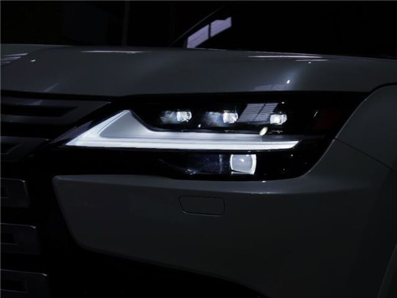 LX