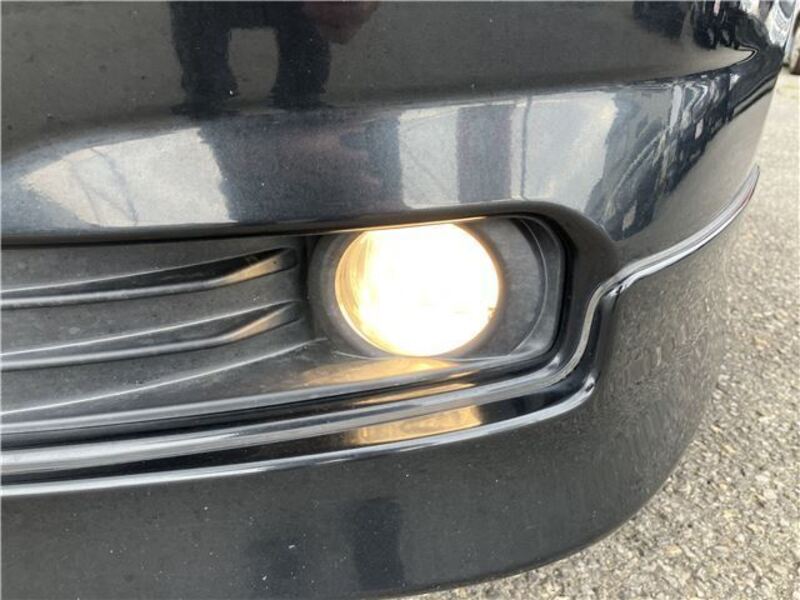 COROLLA RUMION