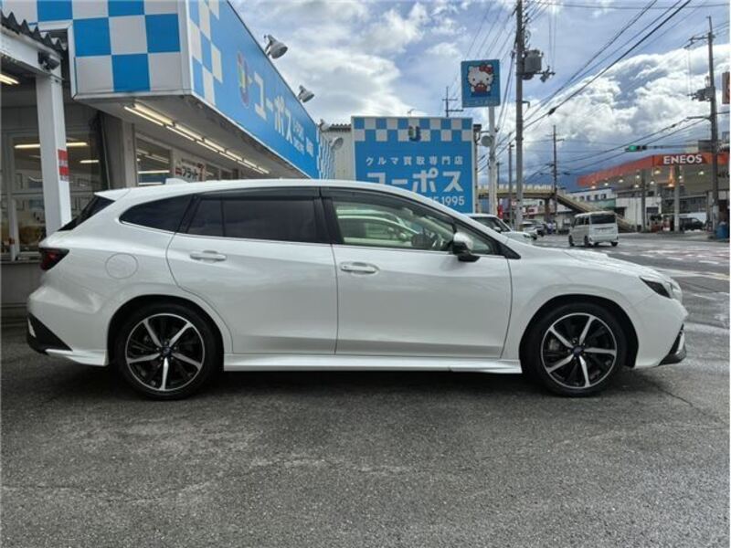 LEVORG