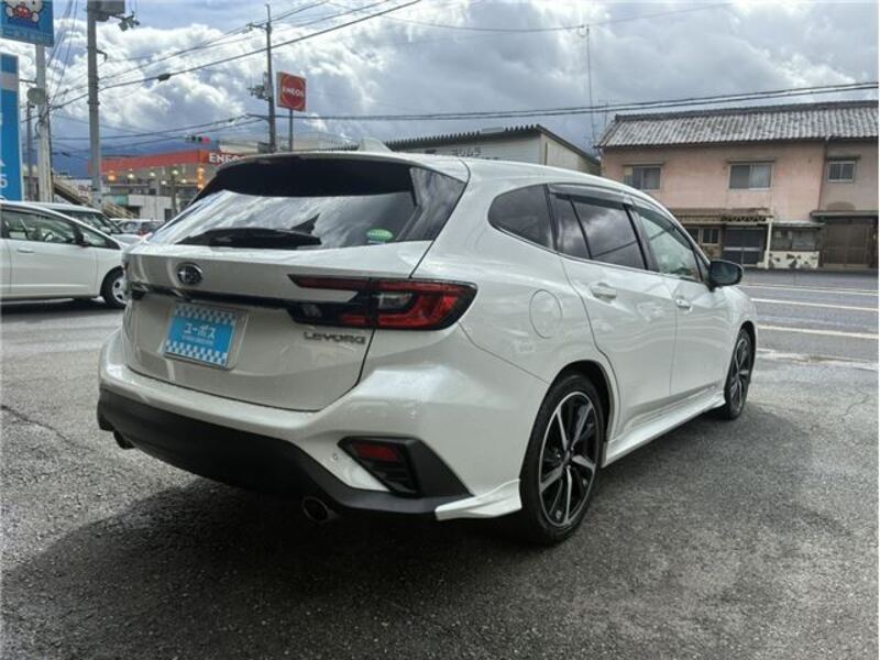 LEVORG