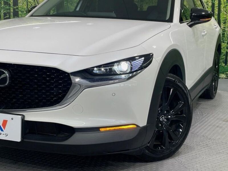 CX-30