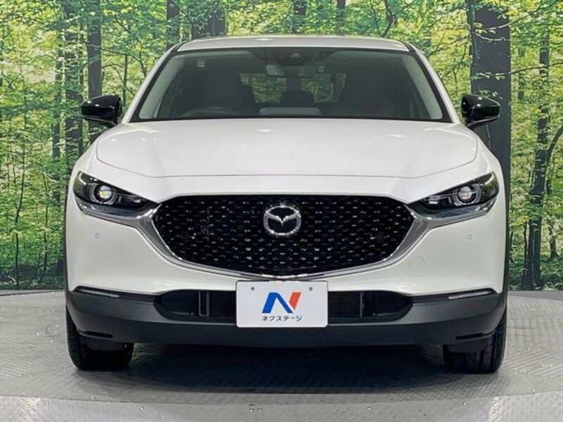 CX-30