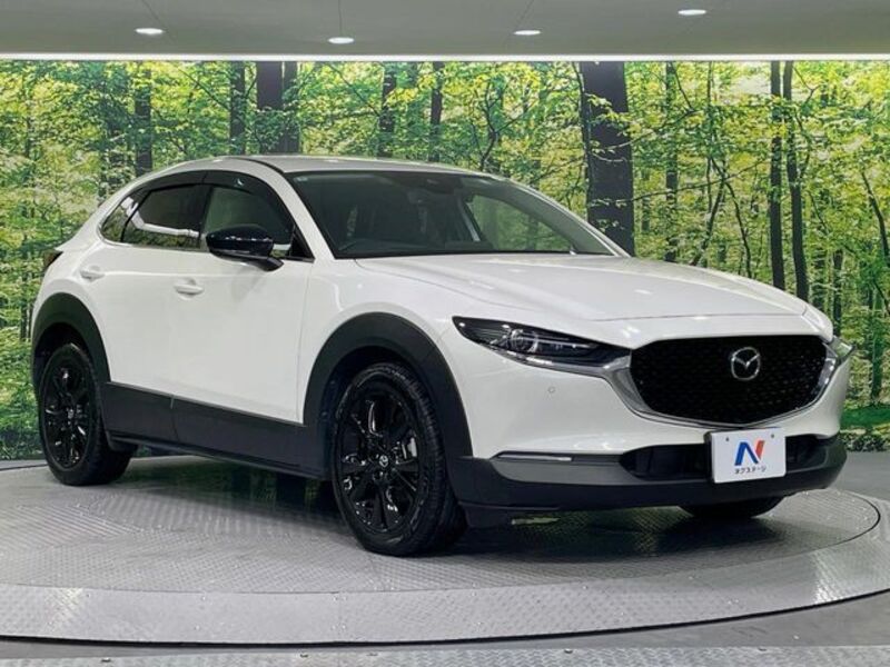 CX-30