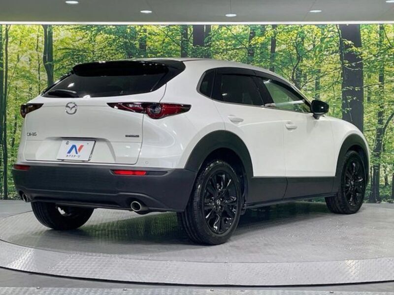 CX-30