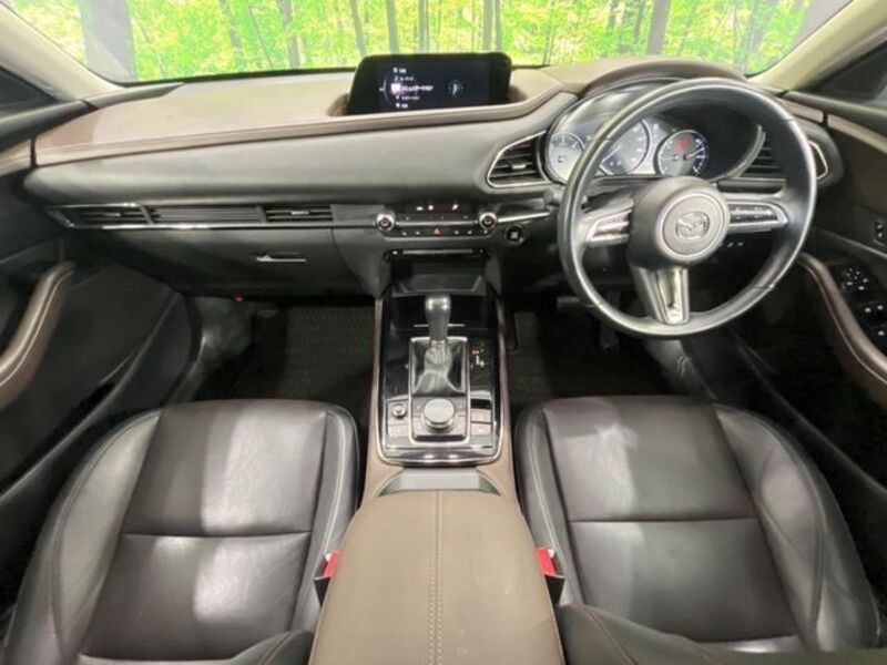 CX-30