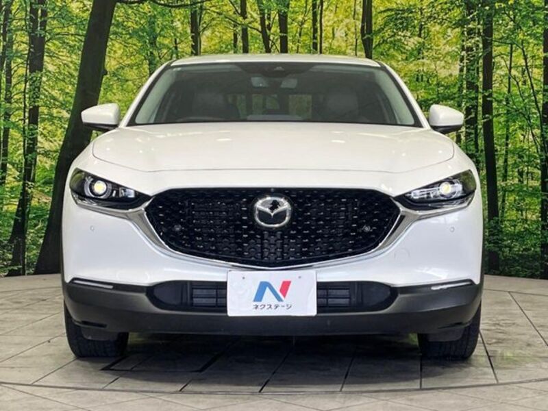 CX-30