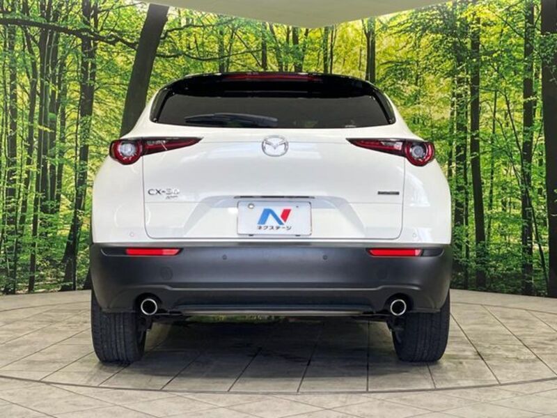 CX-30
