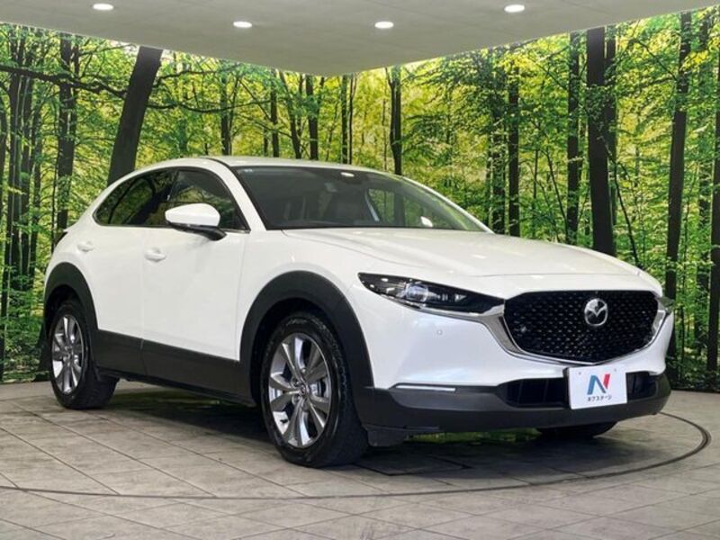 CX-30