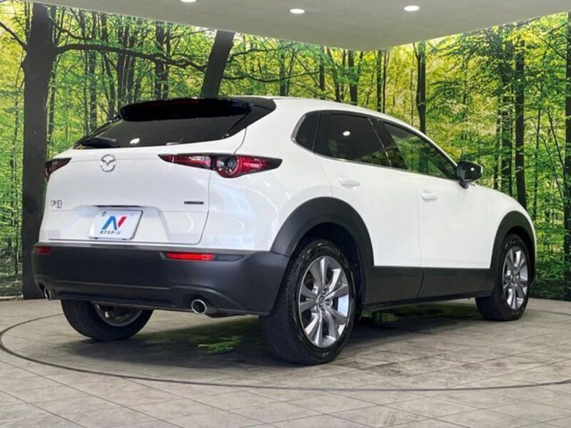 CX-30