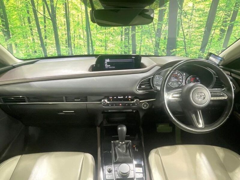 CX-30