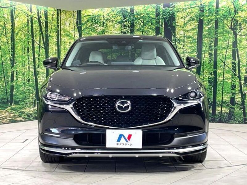 CX-30