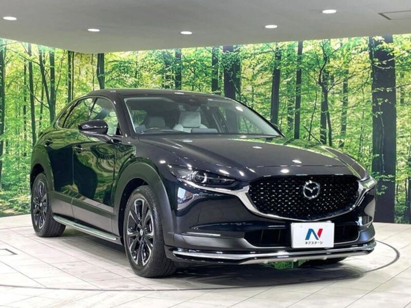 CX-30