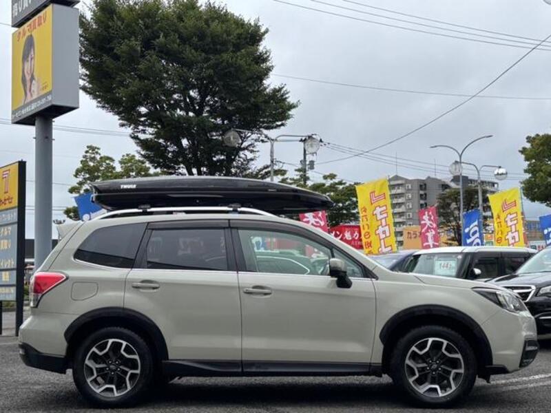 FORESTER