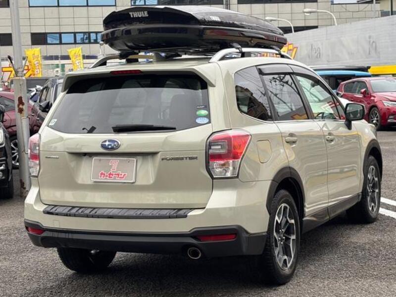 FORESTER